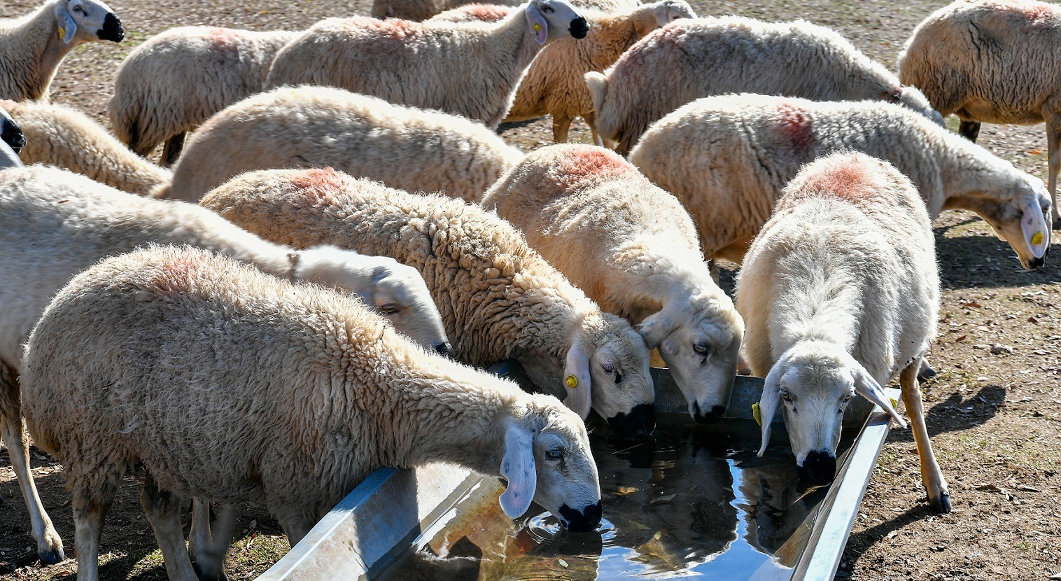 MHP MELİKGAZİ'DEN 'HALK GÜNÜ VE AÇIK KAPI BULUŞMALARI'