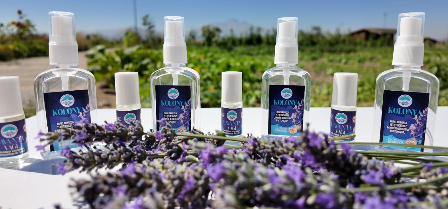 BÜYÜKŞEHİR’DEN ŞEHRİN DÖRT BİR YANINA LAVANTA ESİNTİSİ