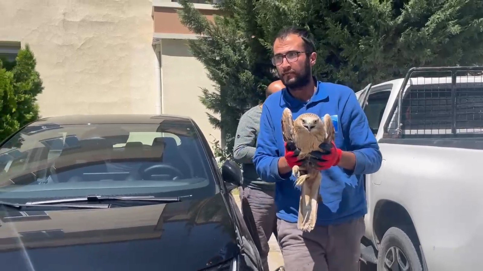 ERCİYES A.Ş.’NİN DUYARLI EKİPLERİ, ERCİYES’TE YARALI ŞAHİNİ KURTARDI