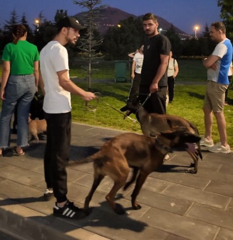 BÜYÜKŞEHİR’İN KÖPEK EĞİTİM PARKURU’NA TAM NOT