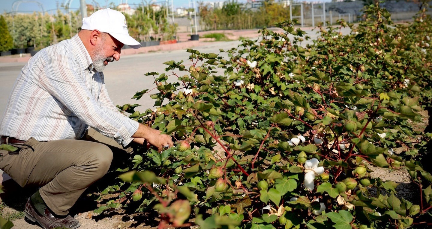 “TÜRKİYE’NİN EN KAPSAMLI FİDANLIĞIYLA KAYSERİ’NİN YEŞİL DOKUSU ZENGİNLEŞİYOR”