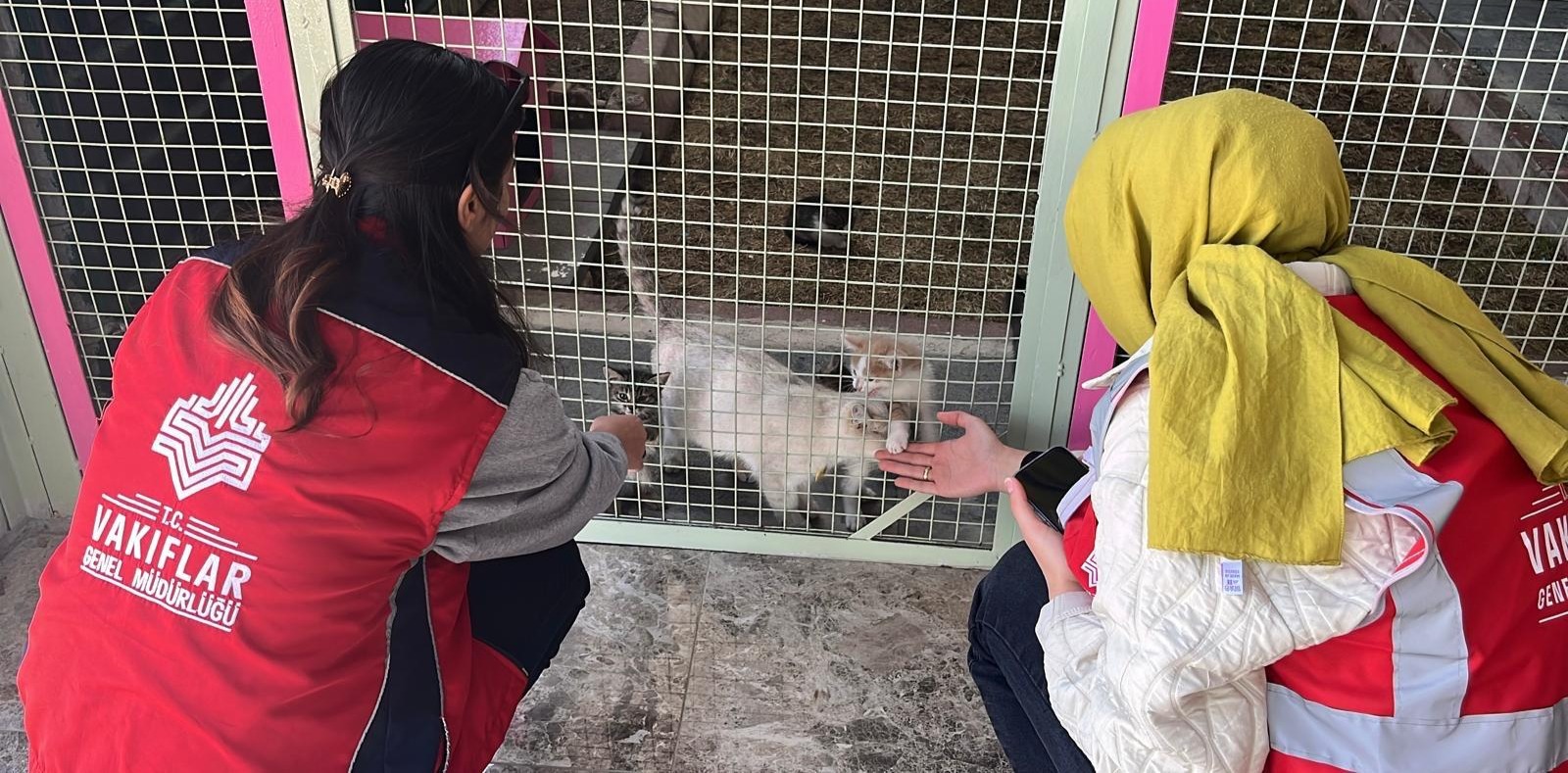 4 Ekim Dünya Hayvanları Koruma Gününde Vakıf Geleneğiyle Can Dostlarımıza Destek