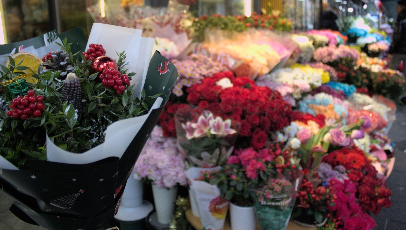 Yılbaşı çiçeği kokinaya talep 3 kat arttı