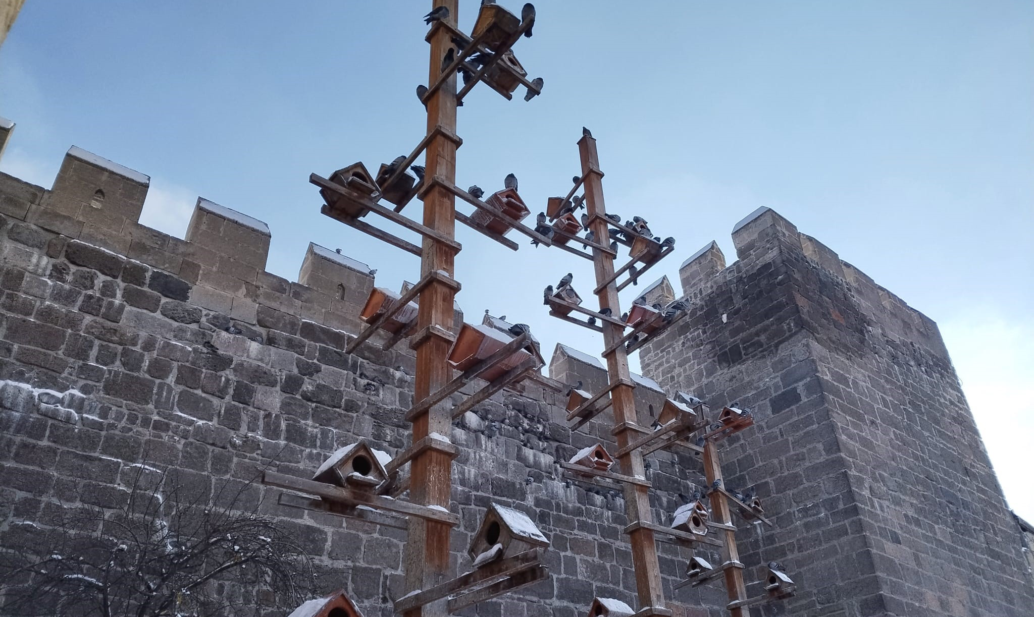 Kayseri’de güvercinler, dondurucu soğukta ahşap yuvalar ile korunuyor