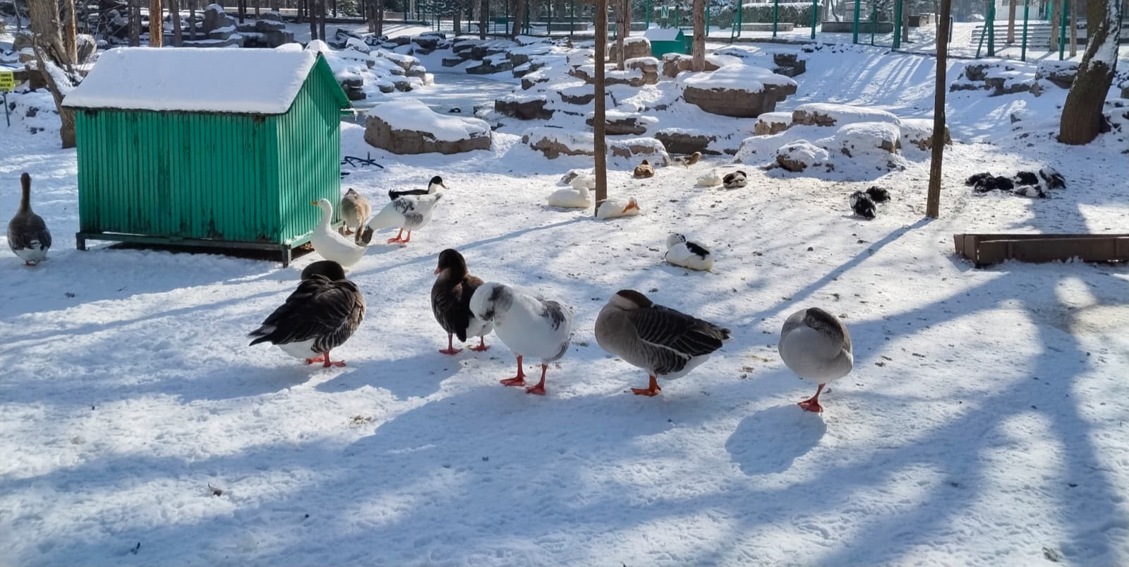 Beştepeler’de kış manzaraları kartpostallık görüntüler oluşturdu