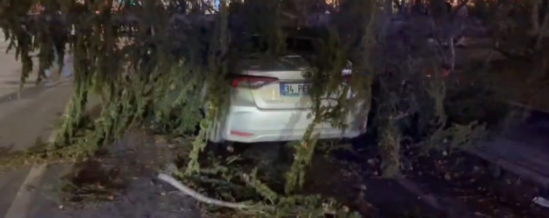 Kayseri’de şiddetli rüzgar ağacı otomobilin üzerine devirdi