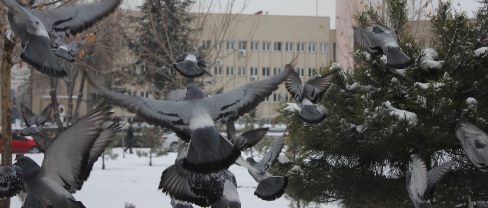 Kayseri’de kar yağışı etkili oldu; kartpostallık görüntüler ortaya çıktı