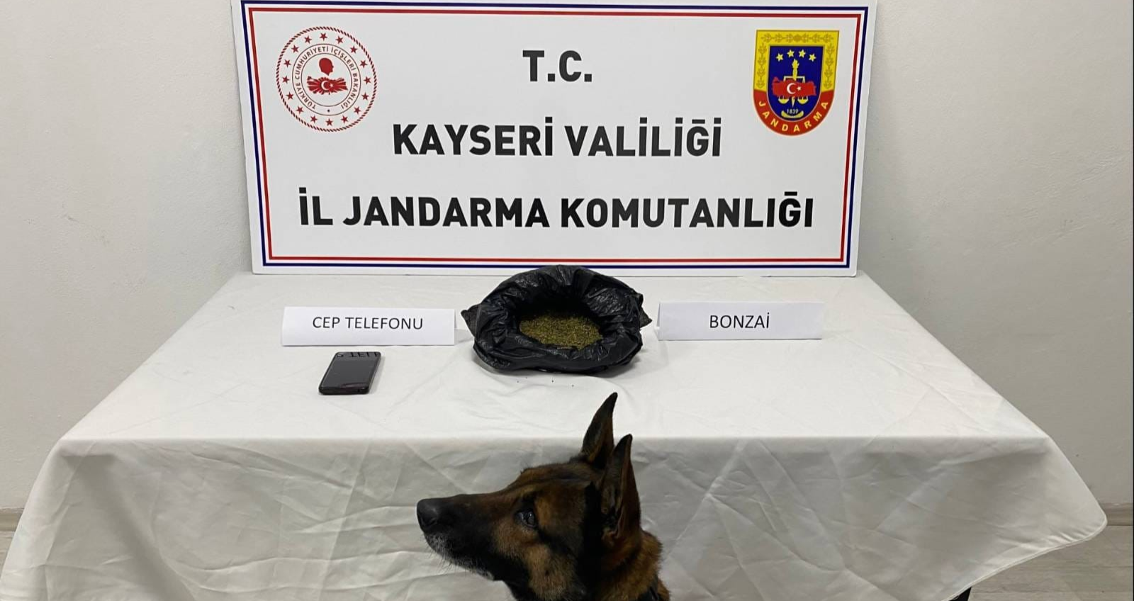 Kayseri’de 1 kişiye uyuşturucu gözaltısı