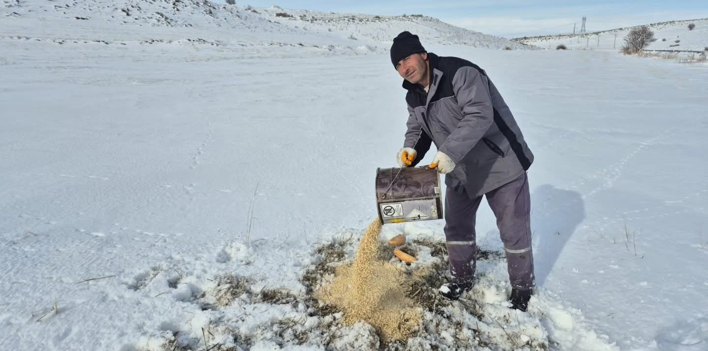 Bünyan'da sokak hayvanlarına yem desteği 