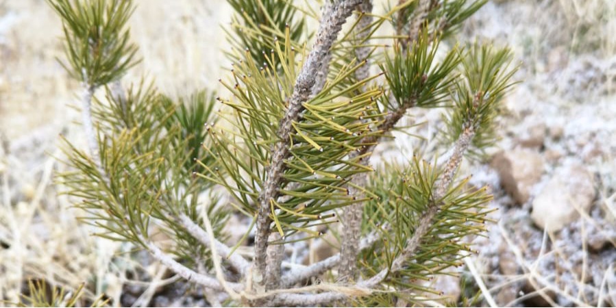 TALAS BELEDİYESİNDEN GELECEĞE NEFES