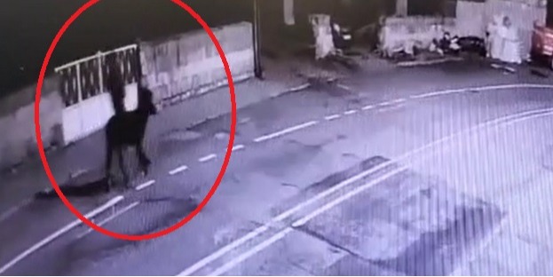 Forkliftle kuyumcu dükkanını soyan hırsız, eşekle olay yerinden kaçmış