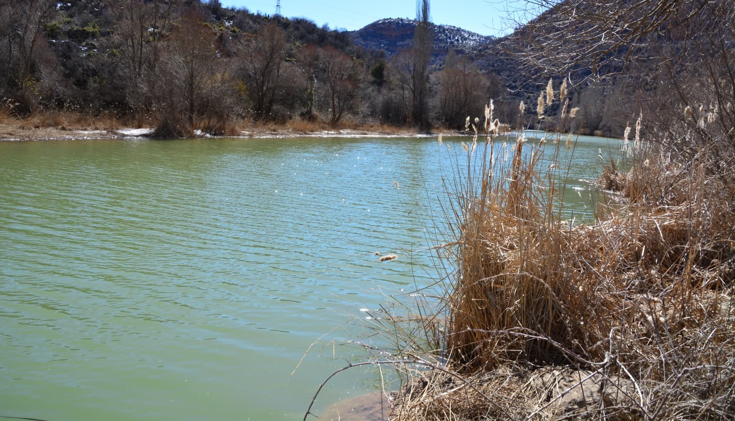 Zamantı Irmağı’nda su debisi yükseldi