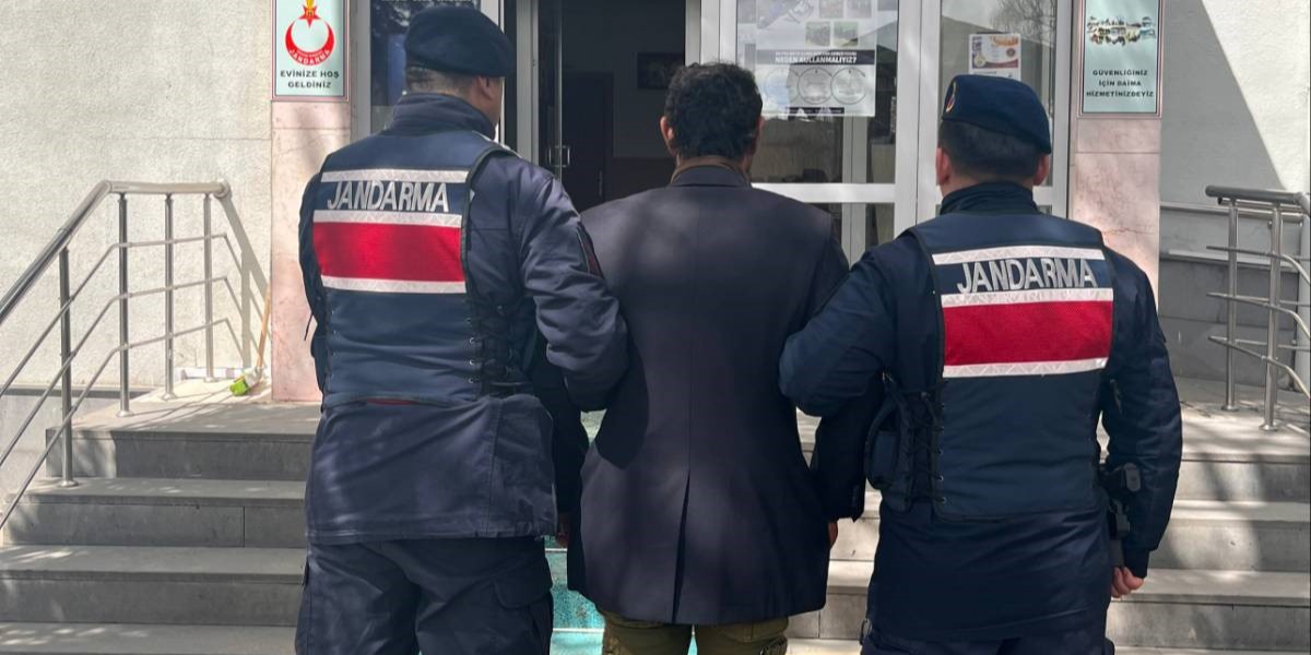 Pınarbaşı'da köpeği ağaca aşarak öldüren şüpheli gözaltına alındı 