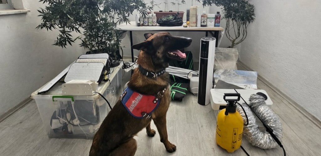 Kayseri’de 1 kişiye uyuşturucuya gözaltısı