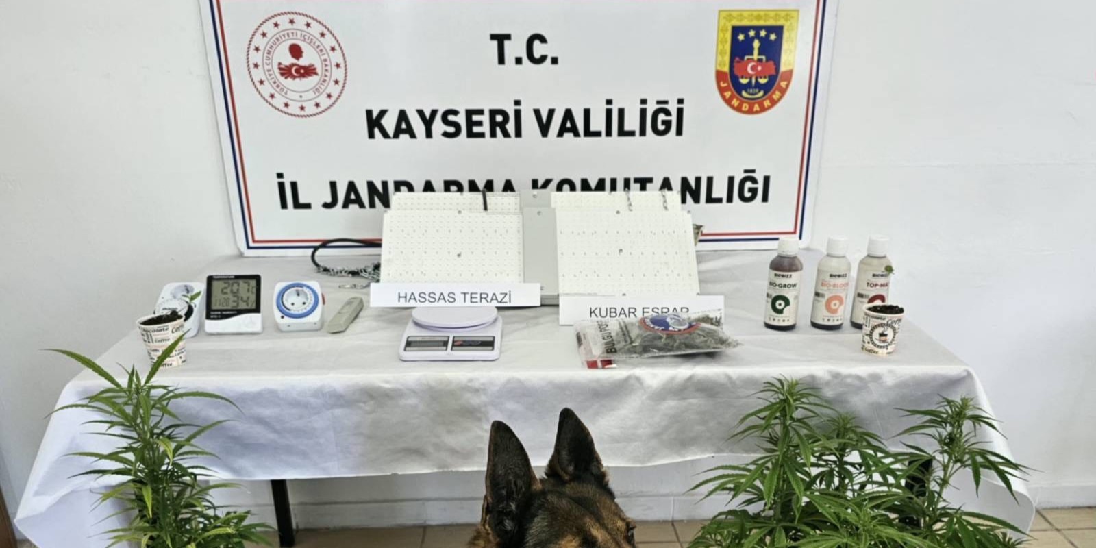 Kayseri’de 1 kişiye uyuşturucu gözaltısı