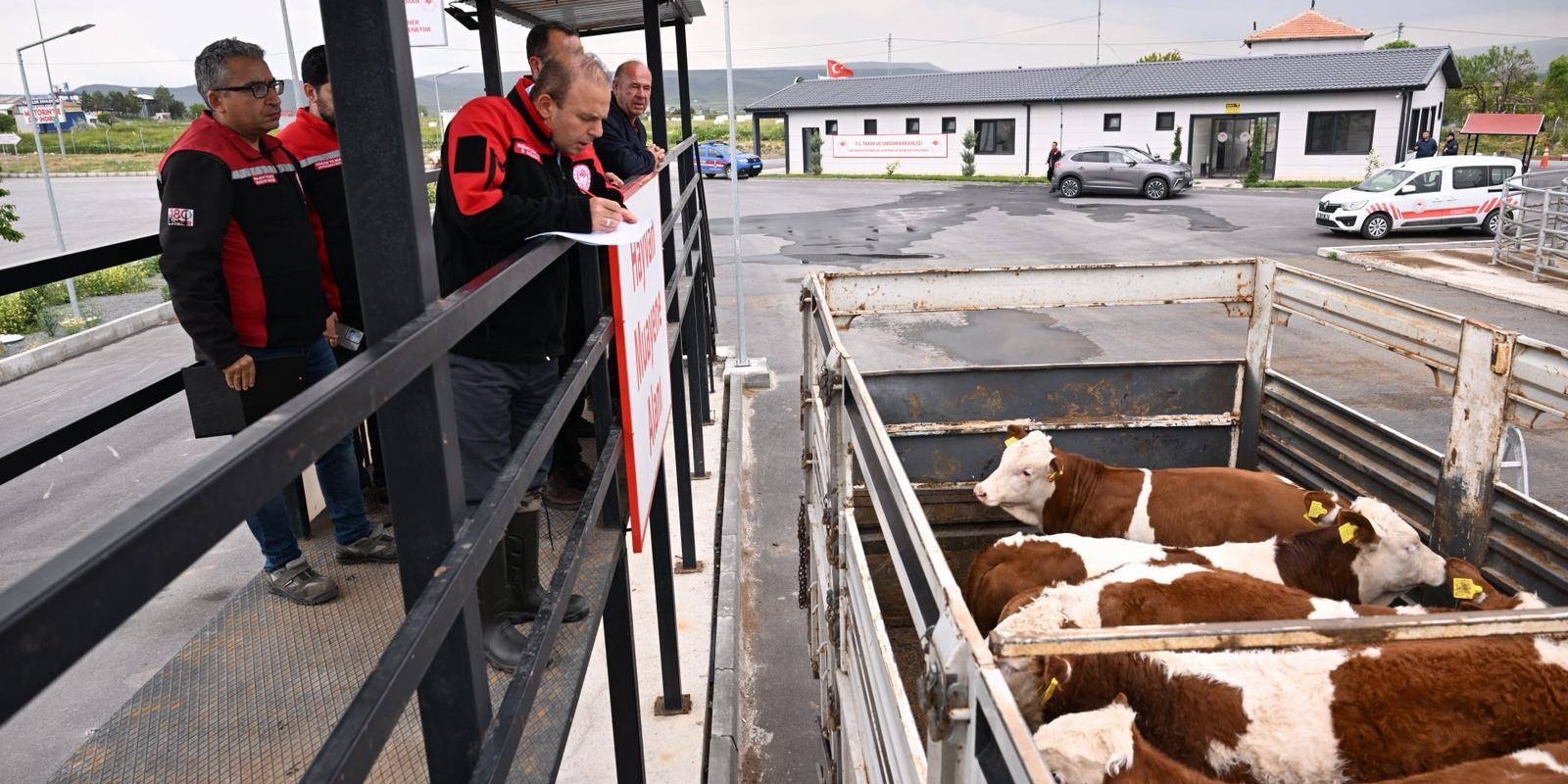 Kurban Bayramı Öncesi Hayvan Sevklerine Sıkı Denetim 