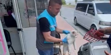 KAYSERİ BÜYÜKŞEHİR İTFAİYESİ’NDEN PATİLİ DOSTA ZAMANINDA MÜDAHALE