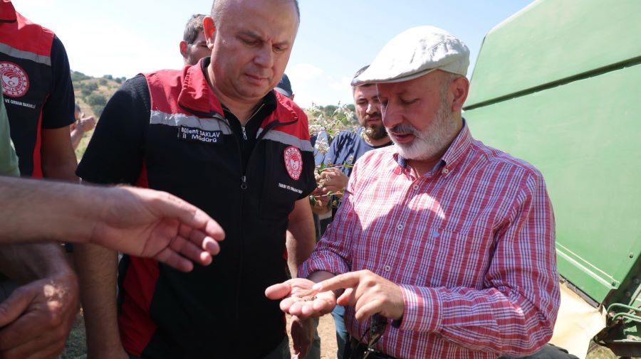 Kocasinan’da karabuğday hasadıyla tarımda yeni dönemin kapısı aralandı