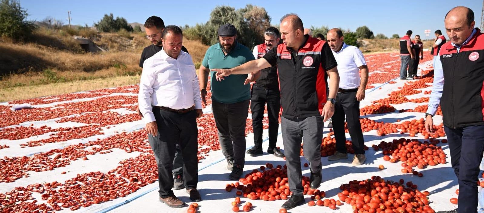 Yeşilhisar’da üretilen domatesler kurutularak ihraç ediliyor