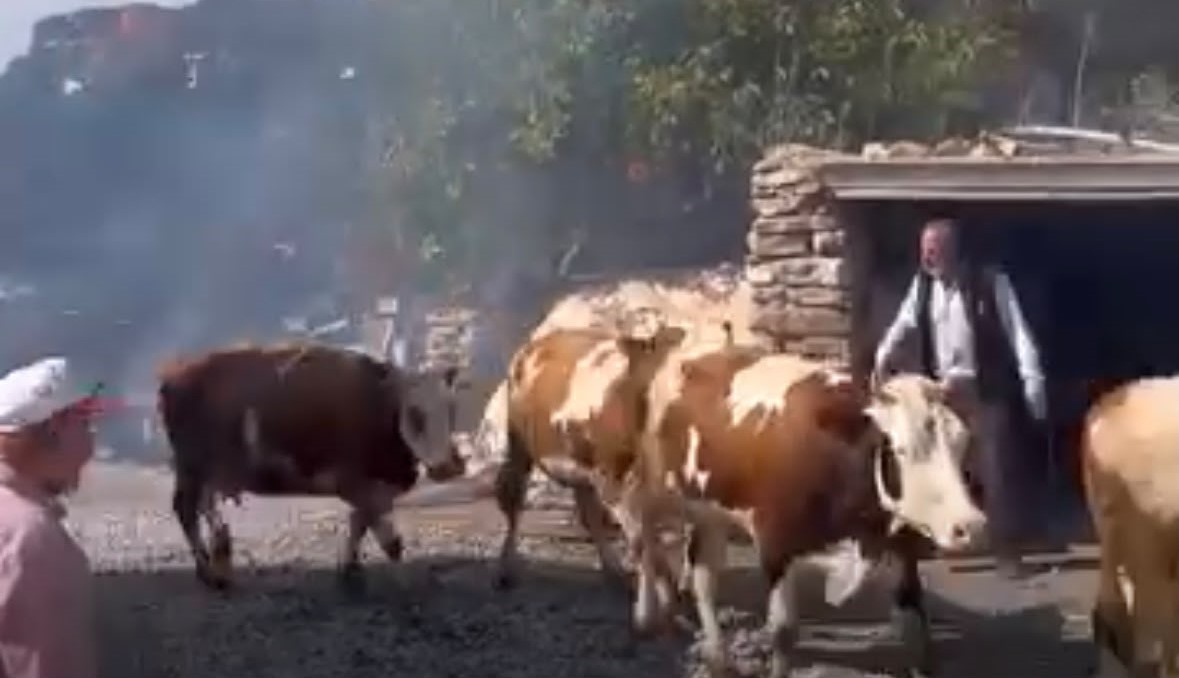 Bünyan’da saman balyaları alevlere teslim oldu