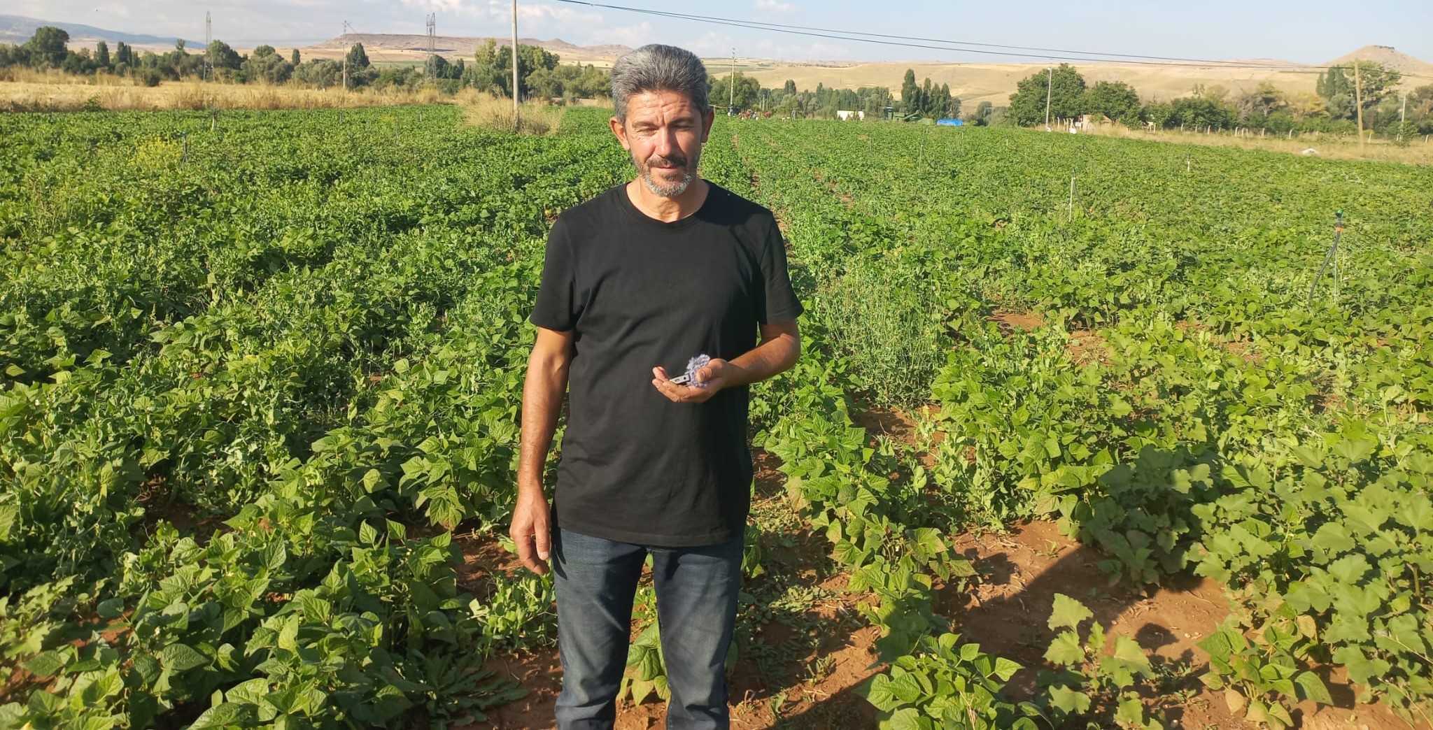 Bünyan’da aynı tarladan ikinci ürün bereketi