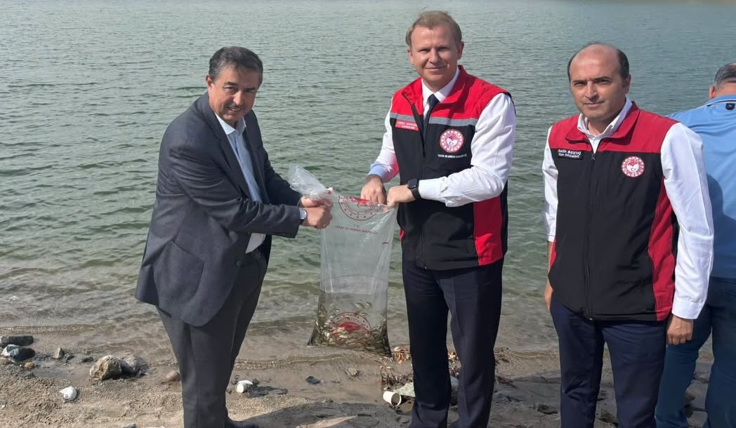 Akköy Barajı’na yavru sazan balıkları bırakıldı