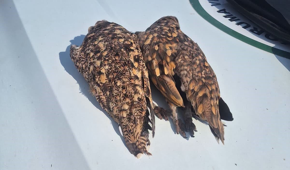 Kayseri'de kaçak av denetimi: 2 kişi hakkında işlem başlatıldı
