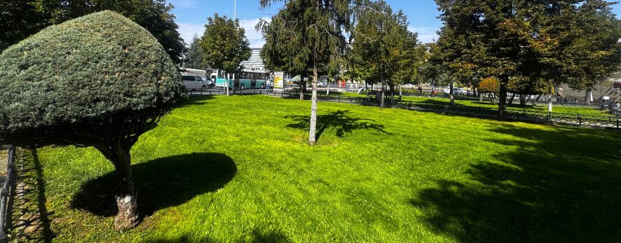 Kayseri Büyükşehir’den kent genelinde kapsamlı çim biçme ve çevre düzenleme seferberliği