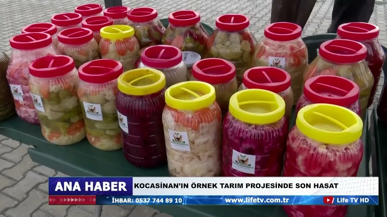 KOCASİNAN’IN ÖRNEK TARIM PROJESİNDE SON HASAT